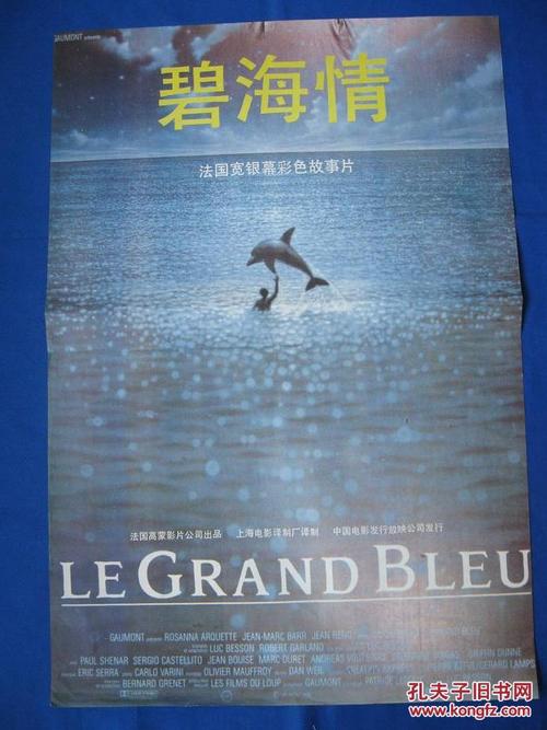 纽芬兰纪念大学学士证书